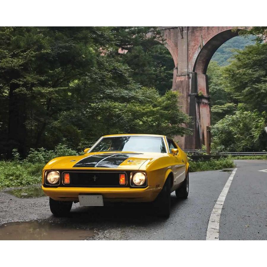 1/24 1971フォード マスタング スポーツルーフ（カスタム品） 1/24 1971フォード マスタング スポーツルーフ（カスタム品）