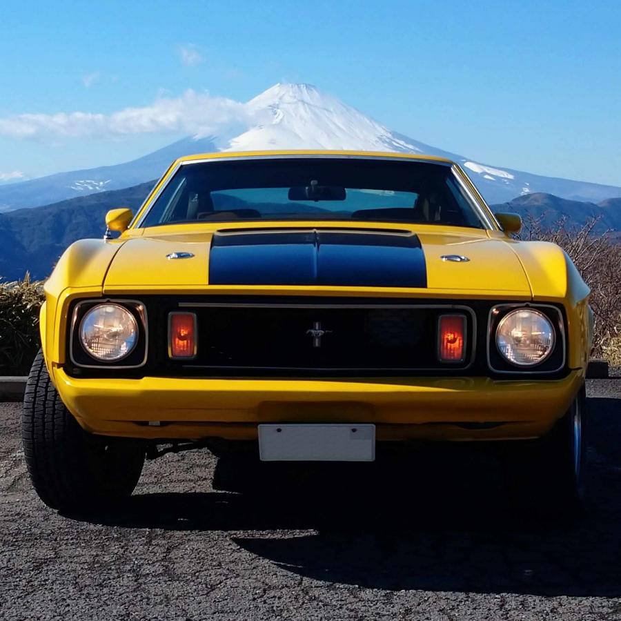 1973 マスタング・スポーツルーフ302 5MT | 60～80年代の車の部品専門